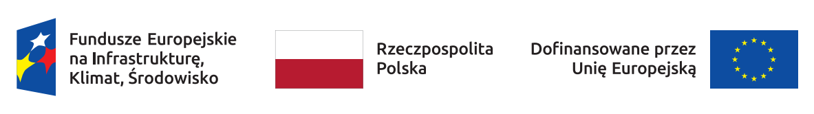 Fundusze Europejskie, Rzeczpospolita Polska, Dofinansowane przez Unię Europejską