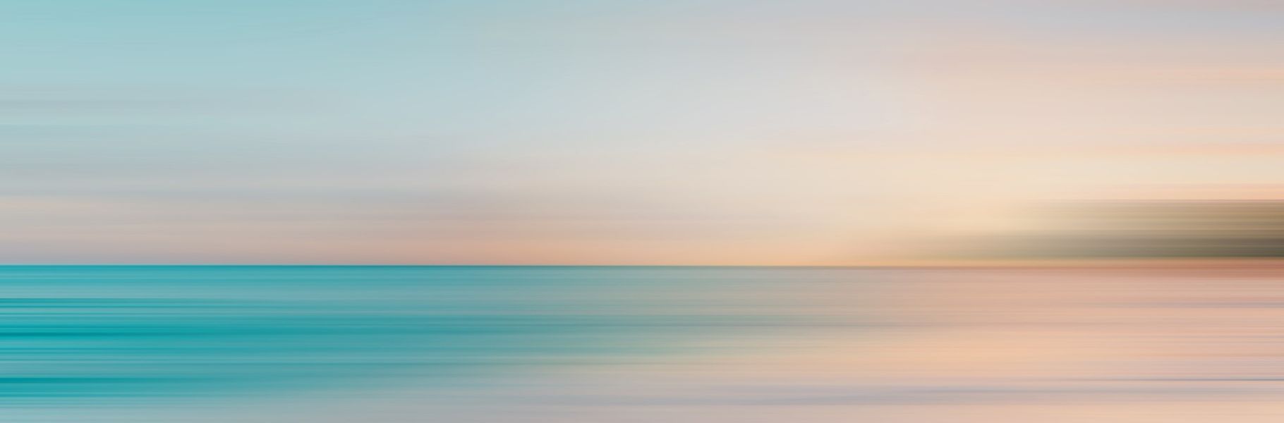 Polityka prywatności Stowarzyszenia Pomocy Arka Noego