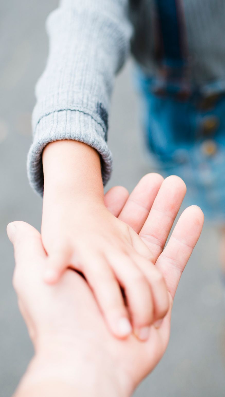 Współpraca z Arką Noego